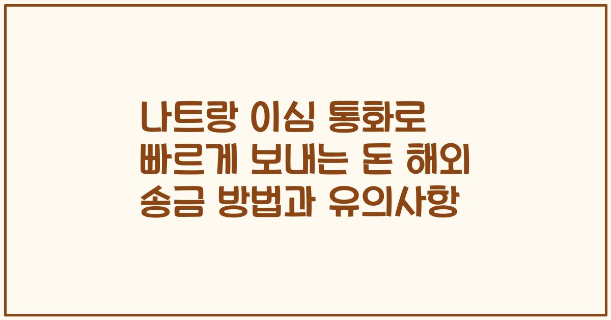 나트랑 이심 통화로 빠르게 보내는 돈 해외 송금 방법과 유의사항