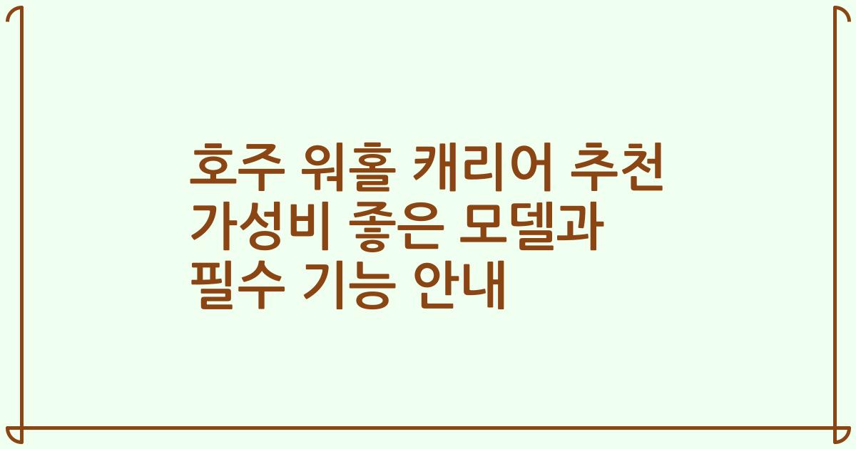 호주 워홀 캐리어 추천 가성비 좋은 모델과 필수 기능 안내
